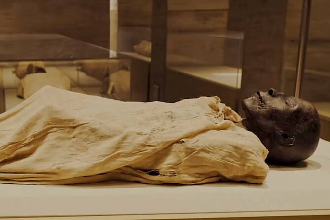Half-Day Tour To The Mummies Museum & 1Hour Felucca Nile Ride - What Sets This Tour Apart