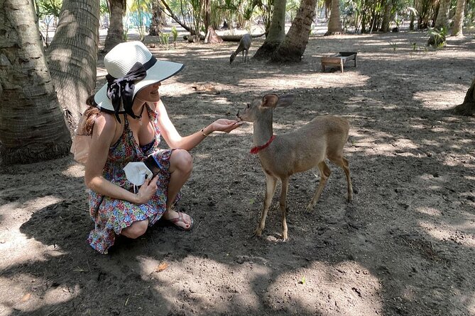 Half-Day Tour to Ventanilla, Mazunte, Zipolite and Puerto Angel - Explore the Biodiversity of Oaxaca on a Half-Day Tour