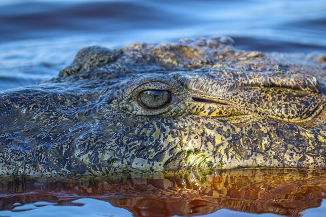 Half-Day Tour to Ventanilla, Mazunte, Zipolite and Puerto Angel - The Eco-Friendly Charm of La Ventanilla and Laguna Ventanilla
