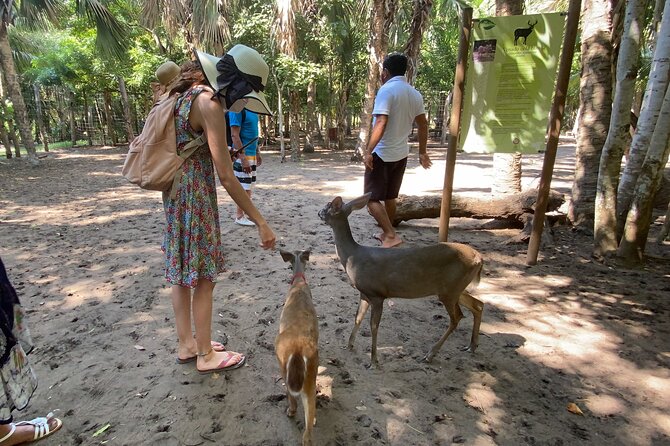 Half-Day Tour to Ventanilla, Mazunte, Zipolite and Puerto Angel - Puerto Angel’s Beach and Optional Lunch
