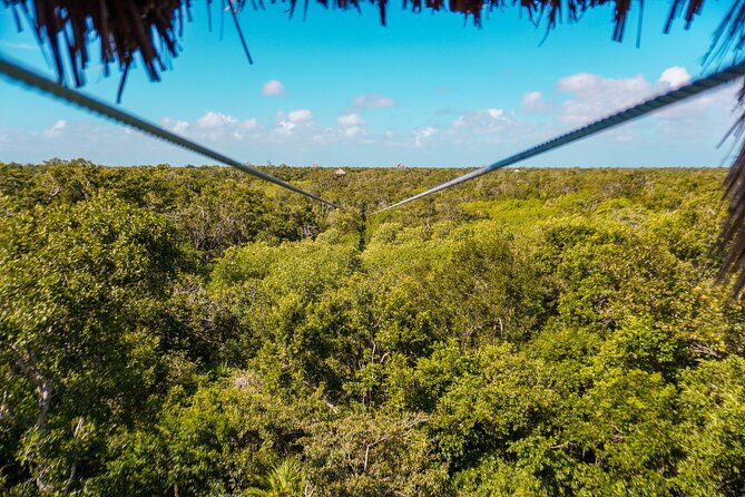 Half Day tour Zipline + Rappel + Cenote from Riviera Maya hotels - Rappelling into a Beautiful Cenote