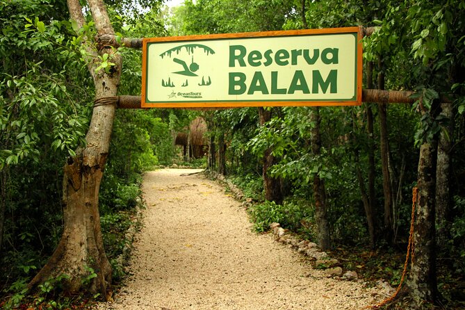 Half Day tour Zipline + Rappel + Cenote from Riviera Maya hotels - Safety and Suitability for Families