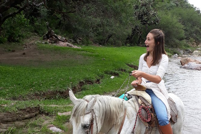 Half Day Trail Riding in San Miguel de Allende - Horses and Safety: Calm, Well-Cared-For Animals