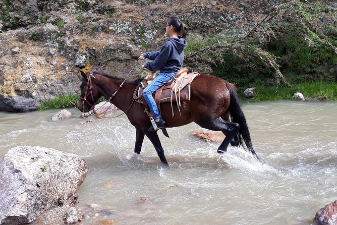 Half Day Trail Riding in San Miguel de Allende - Authentic Ranch Lunch Encapsulates the Mexican Experience