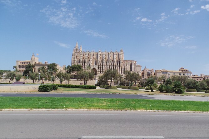 Half Day Trike Tour from Paguera - Key Points