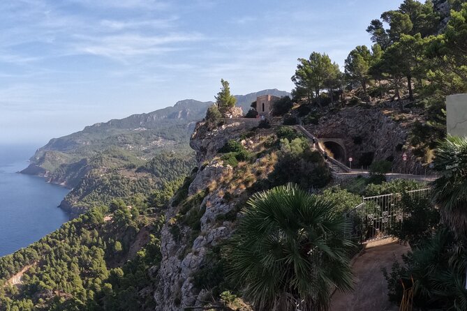 Half Day Trike Tour from Paguera - Coastal Beauty at Port d’Andratx and Camp de Mar