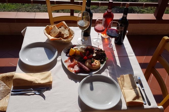 Half-Day Trip to Mt. Vesuvius from Naples - The Wine Tasting and Vineyard Visit