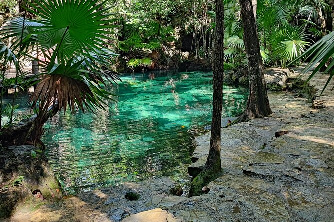 Half-day Tulum ruins and cenote swim arrive before the crowds - Comfort and Convenience with Included Amenities