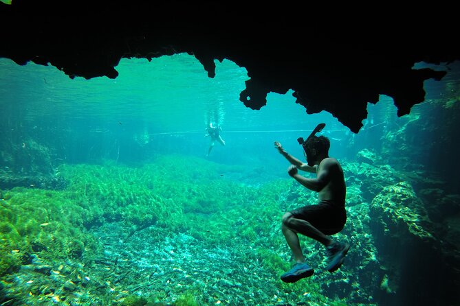 Half-day Tulum ruins and cenote swim arrive before the crowds - Who Will Appreciate This Tour Most?