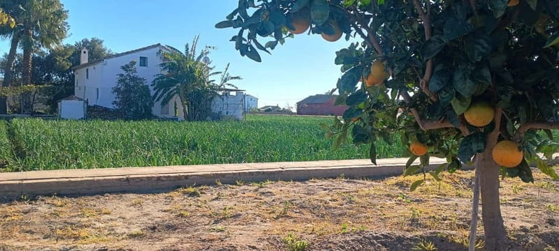 Half Day Valencia Foodie Cycling Tour - Practical Details and Considerations