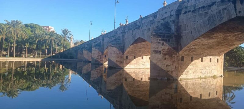 Half Day Valencia Walking Tour - Accessing Valencia’s Roman Roots