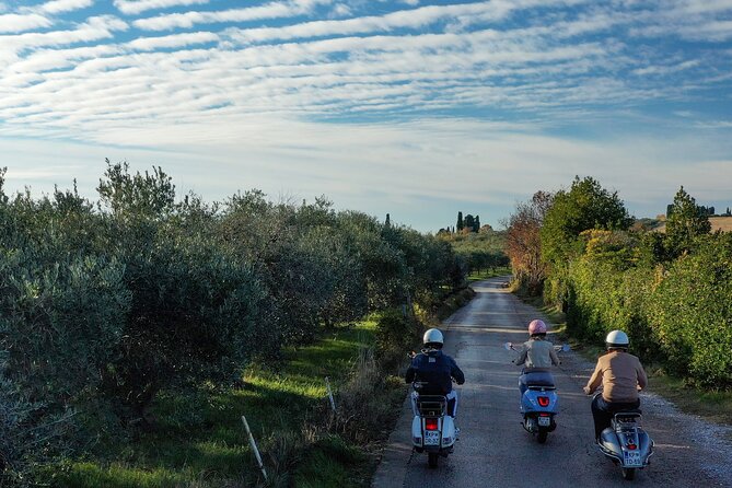 Half Day Vespa Countryside Tour and Tastings in Istria - Olive Oil Tasting at Padna Village