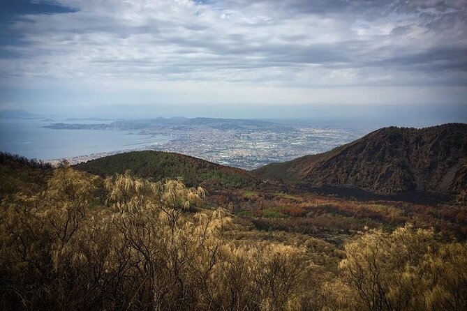 Half-Day Vesuvius Drive and Summit Hike from Naples with Lunch - Practicalities: What’s Included and What to Prepare