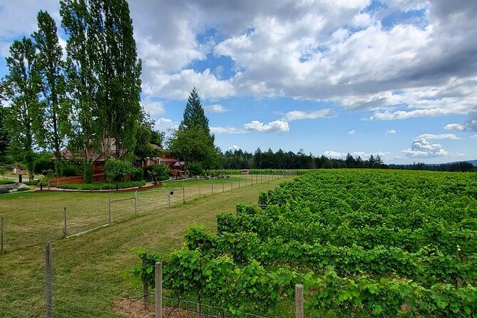 Half-Day Victoria to Cowichan Valley Wine Tour with Tastings - The Lunch Experience at a Boutique Vineyard