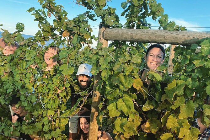 Half-Day West Kelowna Afternoon Wine tour - West Kelownas Wine Trail and Selection of Wineries