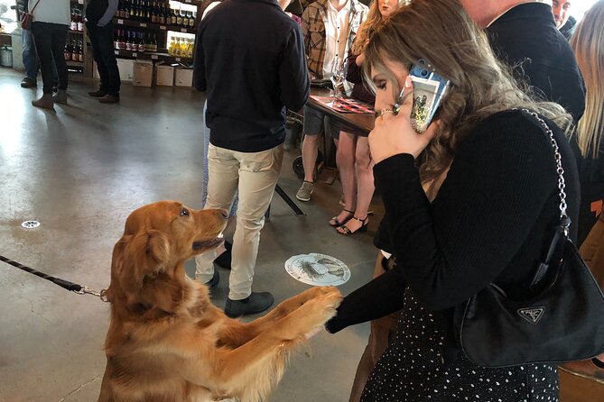 Half-Day West Kelowna Afternoon Wine tour - Flexibility and Private Tour Options