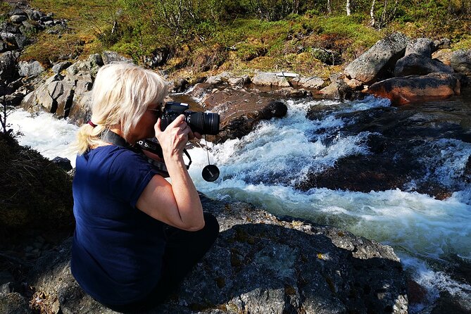 Half day Wildlife and Nature Photography - Expertise and Approach of the Sami Photo Guides