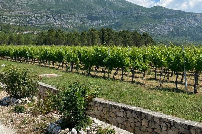 Half-Day Wine and Food Tasting from Dubrovnik - Tasting Local Croatian Wines with a Unique Local Touch