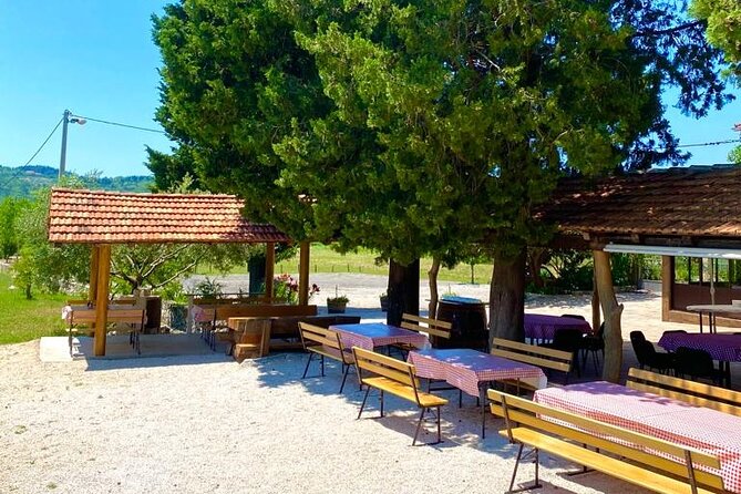 Half-Day Wine and Food Tasting from Dubrovnik - Exploring Cavtat: A Scenic Town Visit