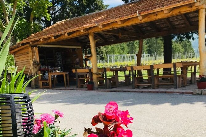 Half-Day Wine and Food Tasting from Dubrovnik - A Family-Run Winery with Authentic Charm