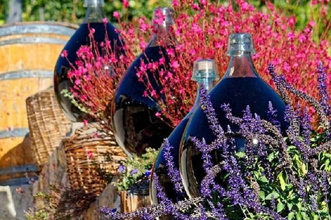 Half-Day Wine Tasting and Saint Paul de Vence Tour from Nice - What Makes the Wine Tasting at Vignoble Rasse Unique