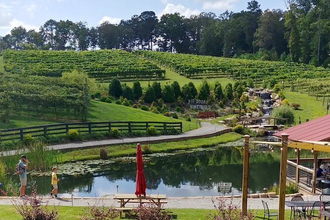 Half-Day Wine Tastings in the North Georgia Mountains - What Sets This Tour Apart from Others in the Area