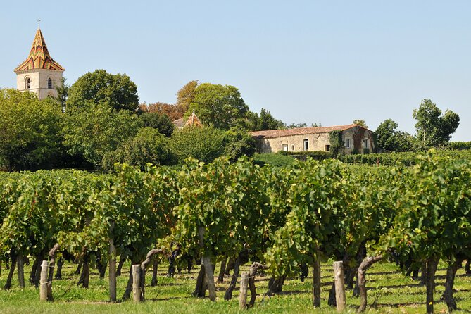 Half-Day Wine tour across Bordeauxs Vineyards - Logistic Details: Meeting Point and Transportation