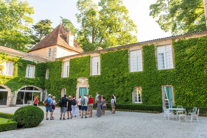 Half-Day Wine tour across Bordeauxs Vineyards - Pacing, Value, and Considerations