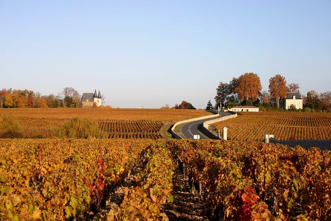 Half-Day Wine tour across Bordeauxs Vineyards - Final Thoughts on the Bordeaux Vineyards Half-Day Tour