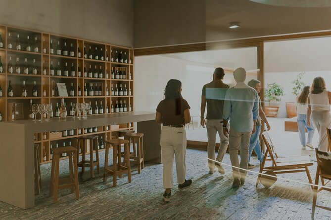 Half Day Wine Tour Around Evora - Transportation and Guide Service Throughout the Tour