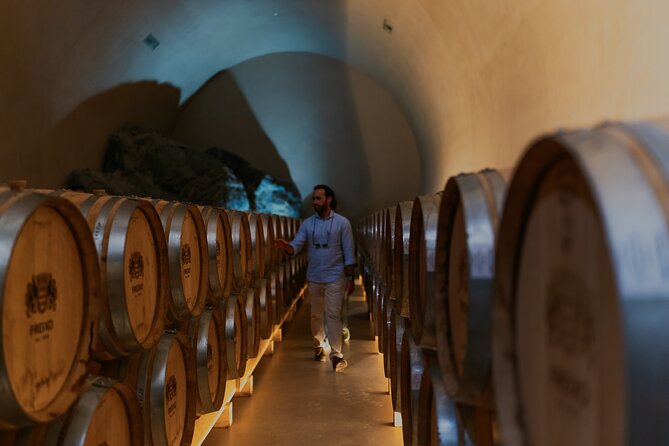 Half Day Wine Tour Around Evora - Flexibility and Optional Lunch at the Winery