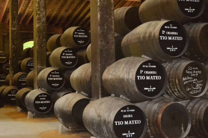 Half-Day Wine Tour in Andalusia in small group - Explore Andalusias Authentic Wineries for a Taste of Spain