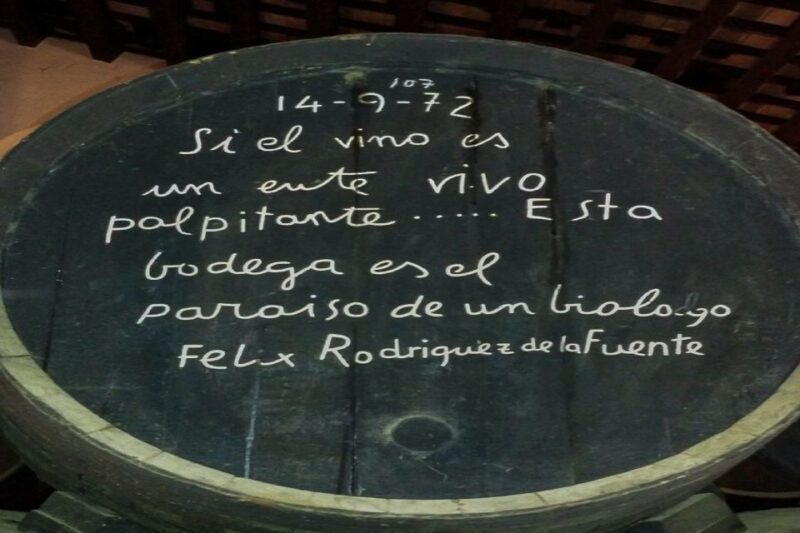 Half-Day Wine Tour in Andalusia in small group - Key Points