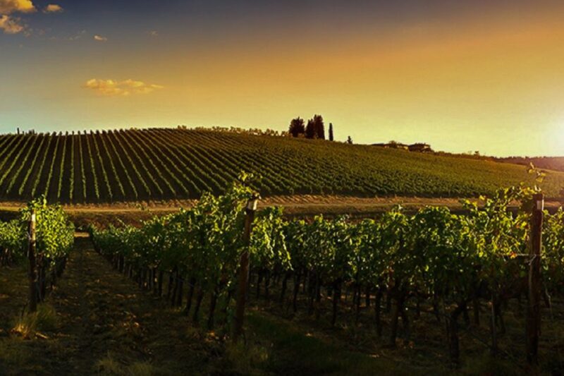 Half-Day Wine Tour in Andalusia in small group - Who Will Enjoy This Tour Most?