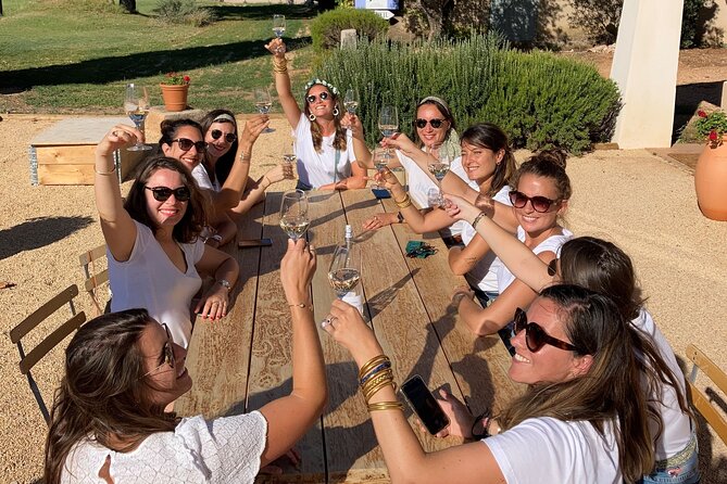 Half day Wine Tour in Côtes de Provence Sainte-Victoire from Aix en Provence - The Meeting Point and Transportation in Aix-en-Provence