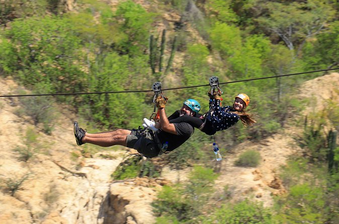 Half-Day Zip Line Adventure in Los Cabos - Customer Feedback and Ratings