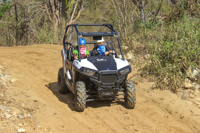 Half Day Ziplines Adventure and UTV ride with Tour Guide in Baja - Key Points