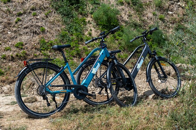 Half Guided e-bike tour with lunch break - The Practicalities of the Tour Logistics
