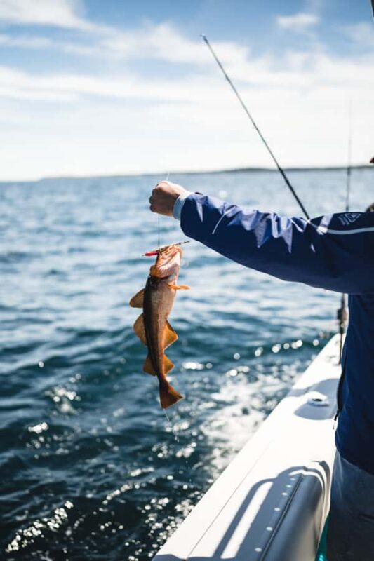 Halifax: 2-Hour Deep Sea Fishing Tour - Physical Requirements and Accessibility