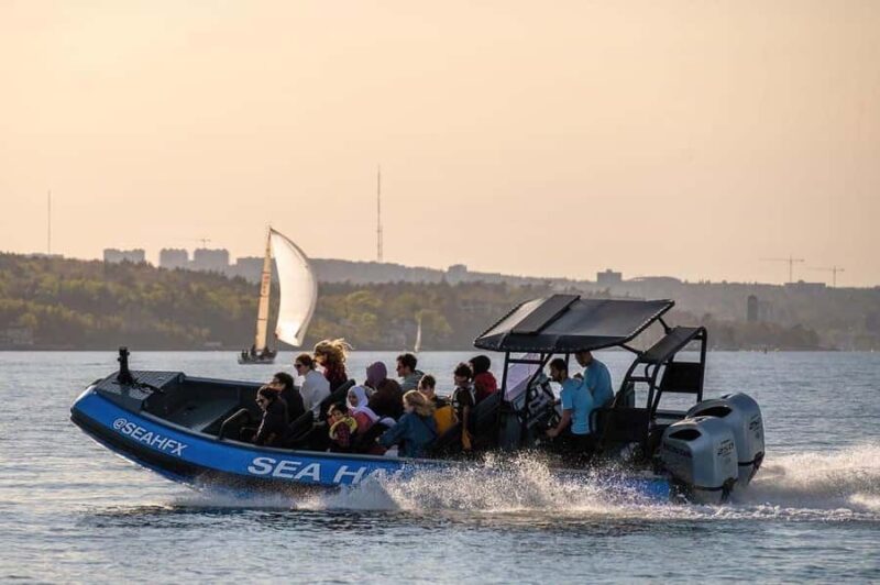 Halifax: 50-Minute Boat Tour of the Harbour - Key Points