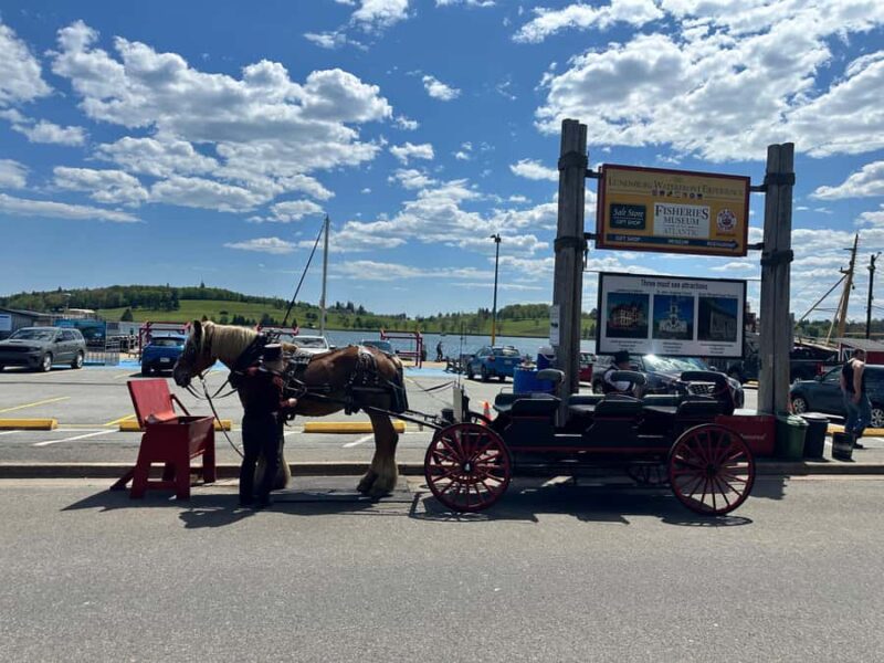 Halifax: Lunenburg and Mahone Bay Private Tour - Flexibility and Ease of Booking