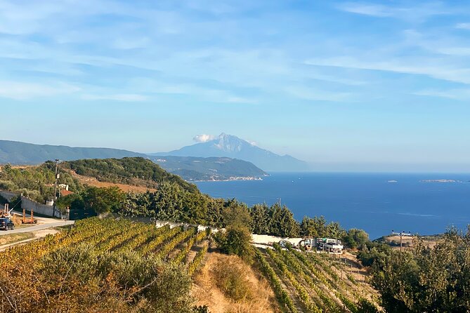 Halkidiki Day Tour in Arnaia and Ierissos Beach - Practical Details: Logistics and Inclusions