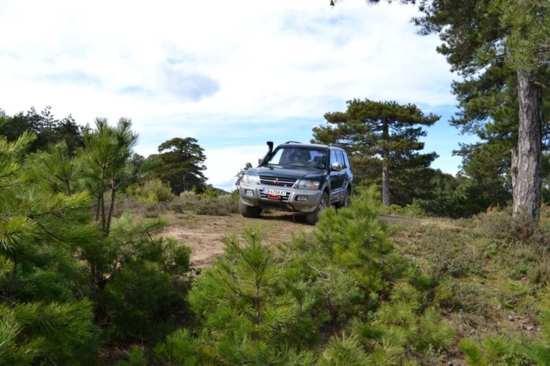 Halkidiki: Kassandra 4x4 Jeep Safari Off-Road Experience - Reaching the Highest Point of Kassandra