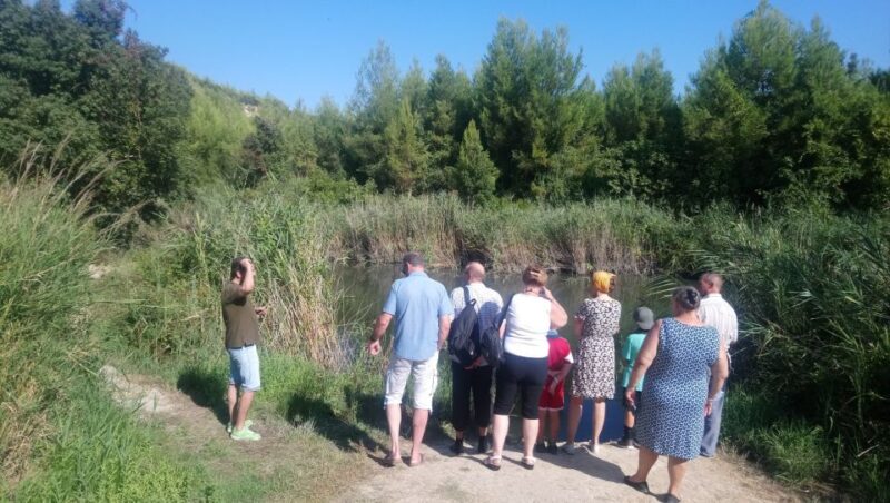 Halkidiki: Kassandra 4x4 Jeep Safari Off-Road Experience - Accessibility and Considerations