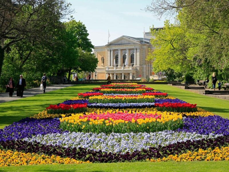 Halle (Saale) : Die Stadtrundfahrt mit dem Bus - Who Will Enjoy This Tour Most?