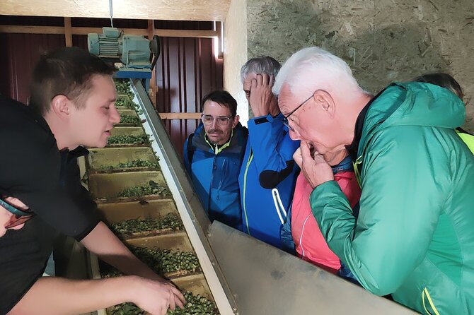 Hallertau experience with hop harvest, lunch and hop museum - Tasting Beer at the Castle Brewery’s Beer Garden