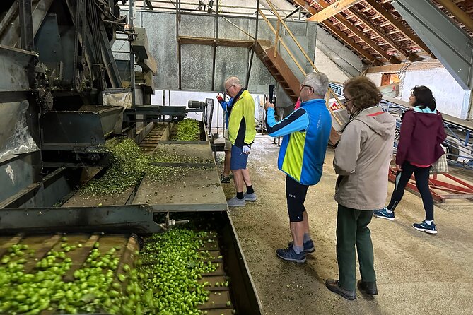 Hallertau experience with hop harvest, lunch and hop museum - Guided Tour with Expert Explanation