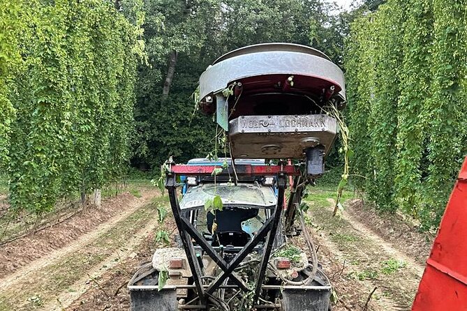 Hallertau experience with hop harvest, lunch and hop museum - Why This Tour Stands Out in Bavaria