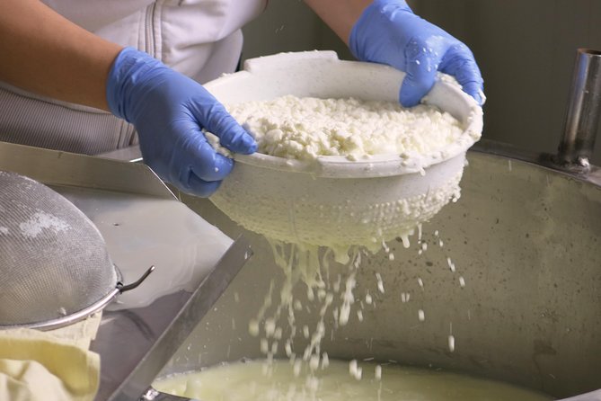 Halloumi Heaven: Cheese-Making Class & Troodos Mountain Villages 7h - From Paphos to the Troodos Mountains