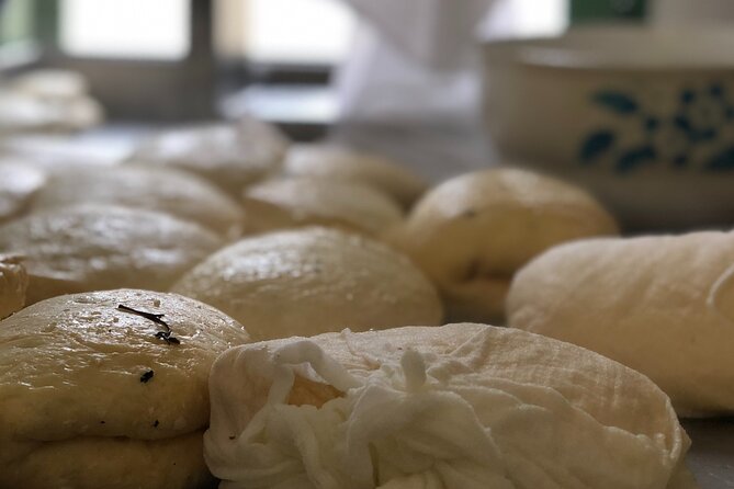 Halloumi Heaven: Cheese-Making Class & Troodos Mountain Villages 8h - Starting the Day: Pickup and Journey to Troodos